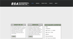Desktop Screenshot of bsaenv.com