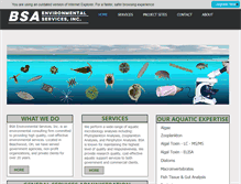 Tablet Screenshot of bsaenv.com